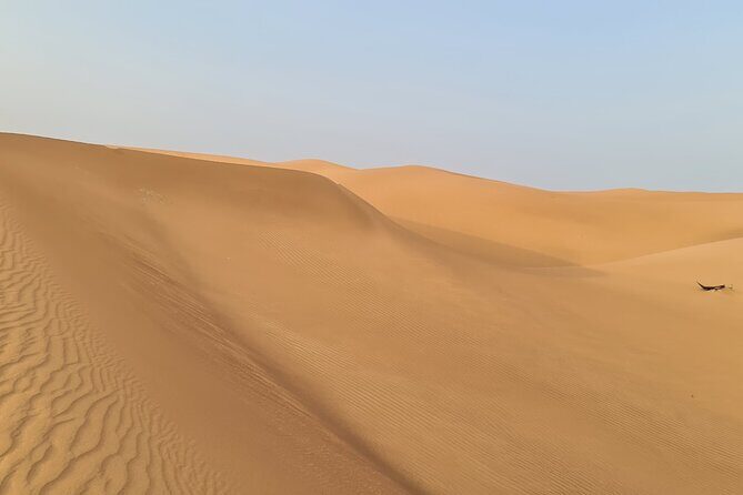 Dubai Desert 4x4 Dune Bashing, Self-Ride 30min ATV Quad, Camel Ride,Shows,Dinner - Bedouin Majilis camp: camel ride, sandboarding, henna, and shisha