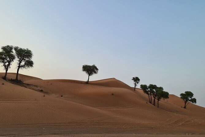 Dubai Desert 4x4 Dune Bashing, Self-Ride 30min ATV Quad, Camel Ride,Shows,Dinner - Belly dancer, fire show, Tanura dance, then BBQ under the stars