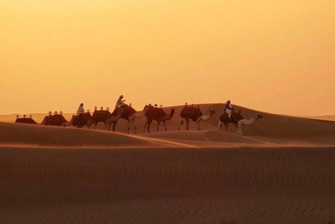 Dubai Desert 4x4 Safari with Camp activities & BBQ Dinner - The big idea: a desert evening that’s built around sand, not sightseeing