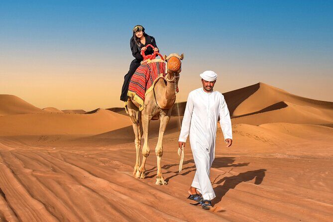 Dubai Desert Adventure Half-Day Tour - Falcon Photo Ops and a Falconry Display