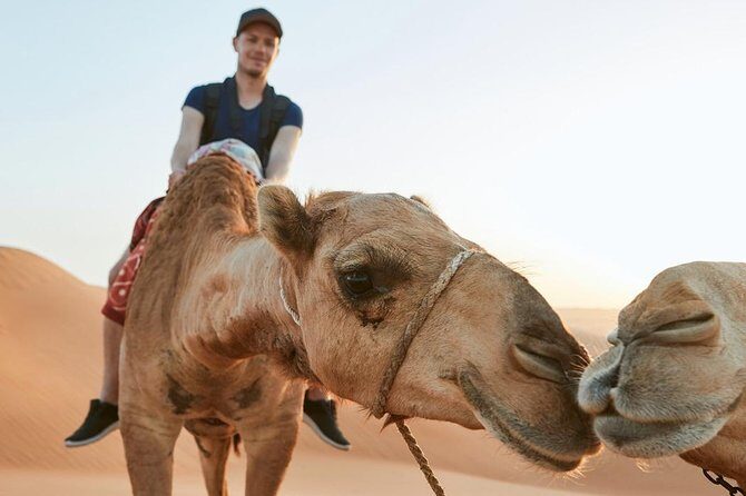 Dubai Desert Adventure: Red Dunes Guided Quad/Polaris ATV & BBQ - BBQ Buffet Dinner: What You Actually Get to Eat