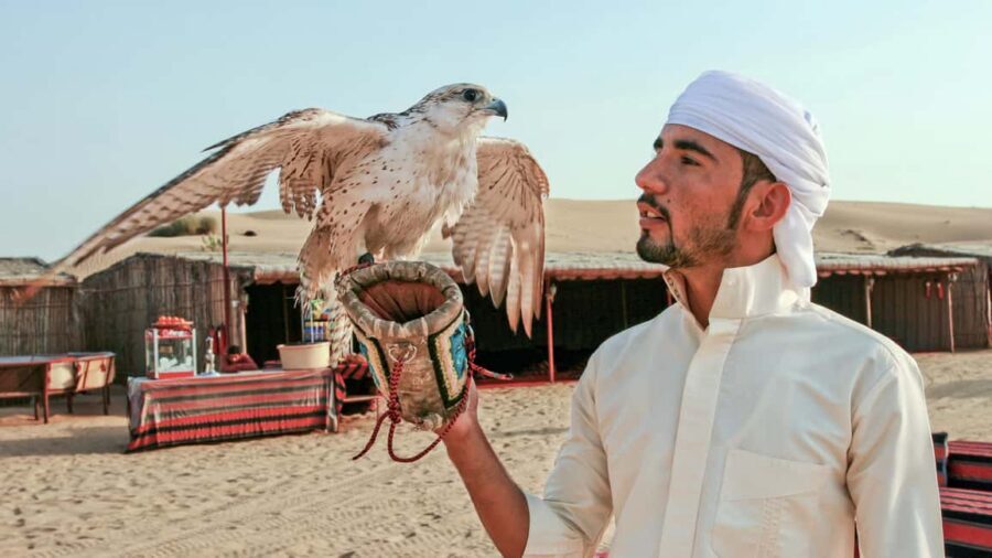 Dubai Desert Adventure: Red Dunes Guided Quad/Polaris & BBQ - How the tour options change your day (Classic vs Exclusive vs Ultimate)