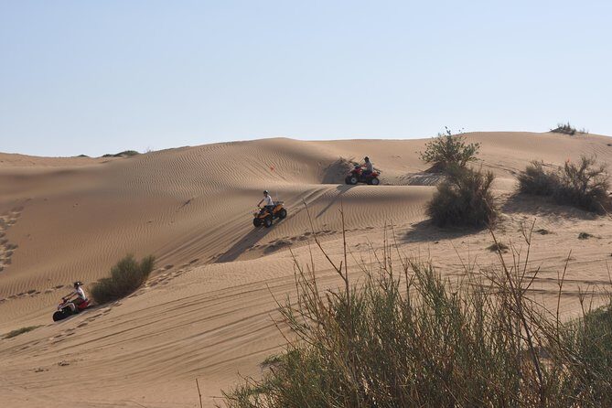Dubai Desert Afternoon Quad Safari with Camel Ride, BBQ Dinner and Belly Dancing - Quick hits you’ll care about