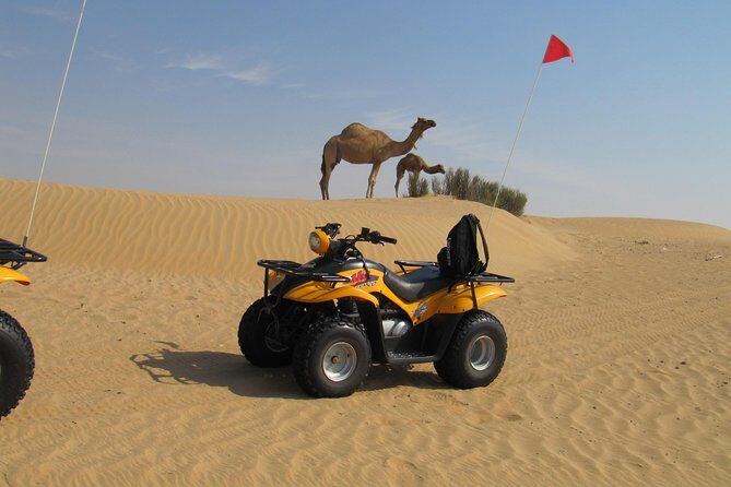 Dubai Desert Afternoon Quad Safari with Camel Ride, BBQ Dinner and Belly Dancing - BBQ dinner and the show lineup: belly dancing plus tanoura whirling