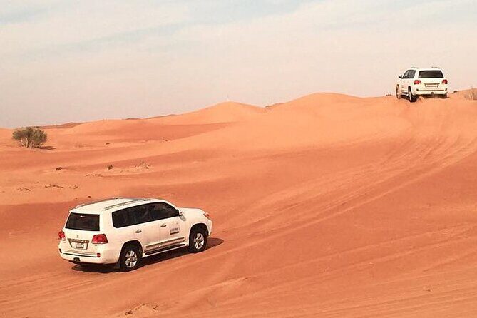 Dubai Desert Afternoon Safari with Camel Ride, BBQ Dinner, and Belly Dancing - Key things to know before you go