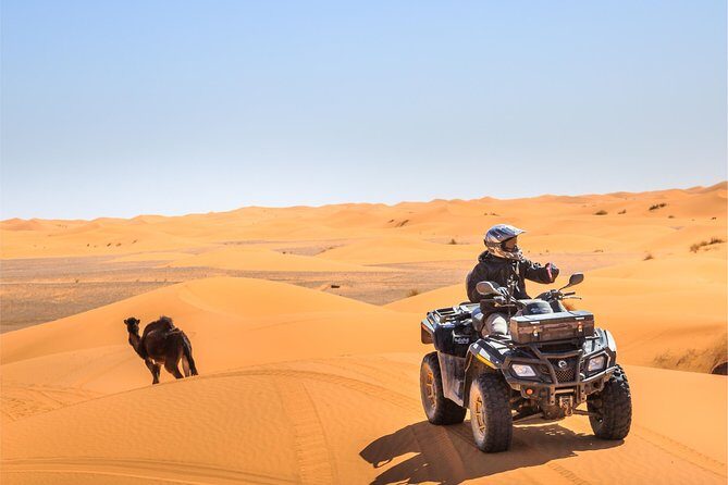 Dubai Desert BBQ Dinner, Camel Ride, Sandboarding and Live Shows - Why this desert safari feels different than the wild dune-bash tours