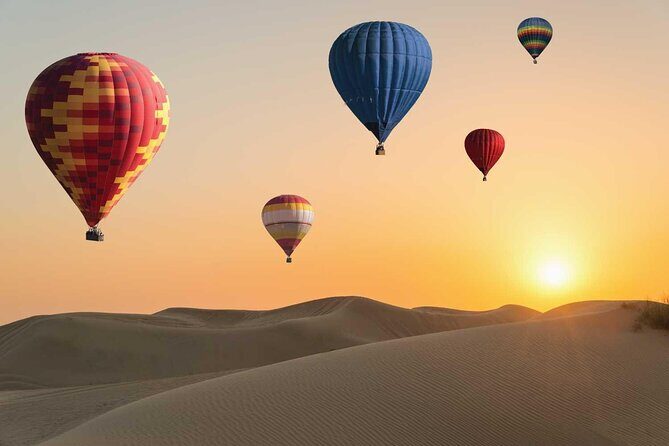 Dubai Desert By Hot Air Balloon With Falcon Show and Camel - Falcon show + camel ride: two ways to meet the desert