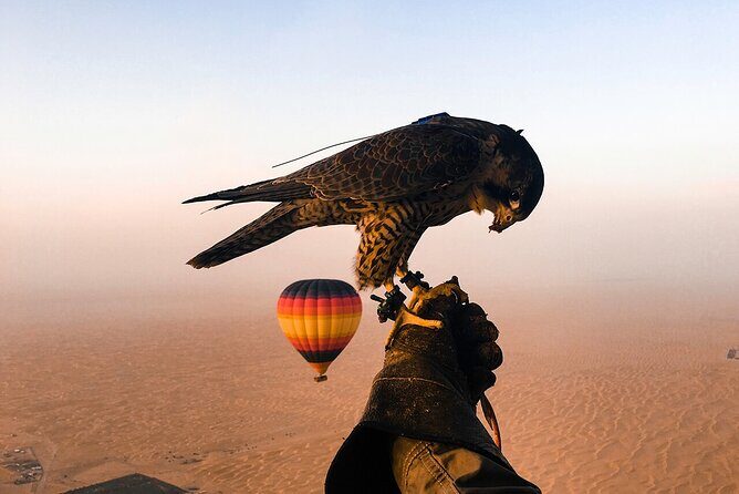 Dubai Desert By Hot Air Balloon With Falcon Show and Camel - The pickup plan: getting from Dubai to the desert smoothly