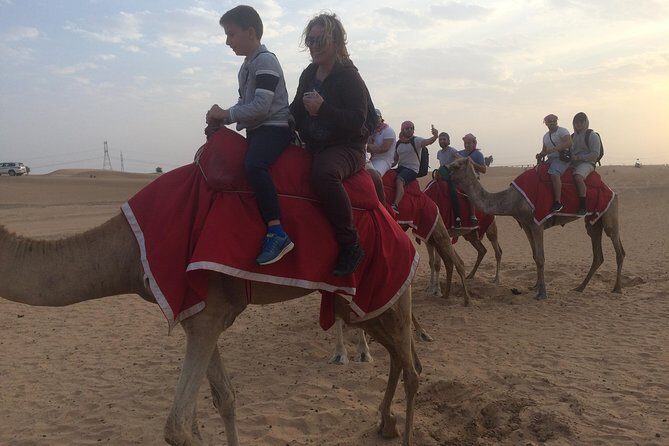 Dubai: Desert Camel Ride with Live Shows & BBQ Buffet Dinner - Photo Stops, Falcon Moments, and Desert-Style Activities