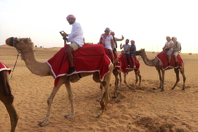Dubai: Desert Camel Ride with Live Shows & BBQ Buffet Dinner - Tanura and Belly Dancing at Night, Plus BBQ Buffet Dinner