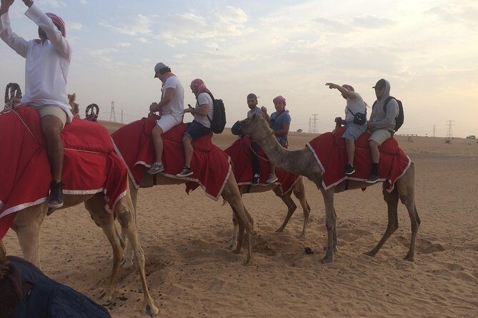 Dubai: Desert Camel Ride with Live Shows & BBQ Buffet Dinner - Practical Tips to Make Your Night Go Smoothly