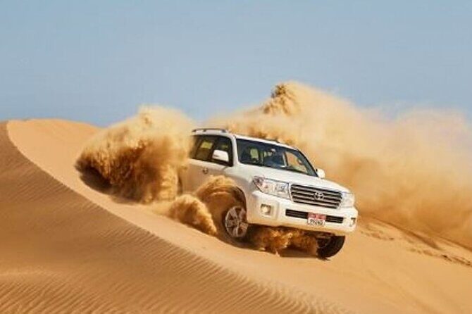 Dubai Desert Escape: Red Dunes Safari, Falcon, Camel & BBQ Dinner - Key Highlights at a Glance