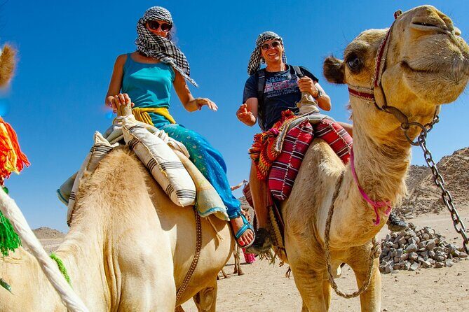 Dubai Desert Escape: Red Dunes Safari, Falcon, Camel & BBQ Dinner - Getting Picked Up in Dubai: Shared vs Private Car