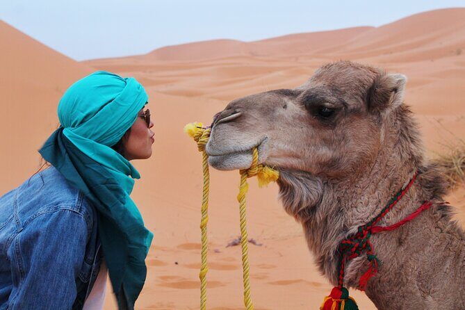 Dubai Desert Escape: Red Dunes Safari, Falcon, Camel & BBQ Dinner - Golden-Hour Photos, Free Sandboarding, and Repeat Camel Rides
