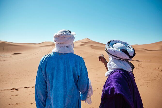 Dubai Desert Escape: Red Dunes Safari, Falcon, Camel & BBQ Dinner - Falcon Photos: The Emirati Culture Moment
