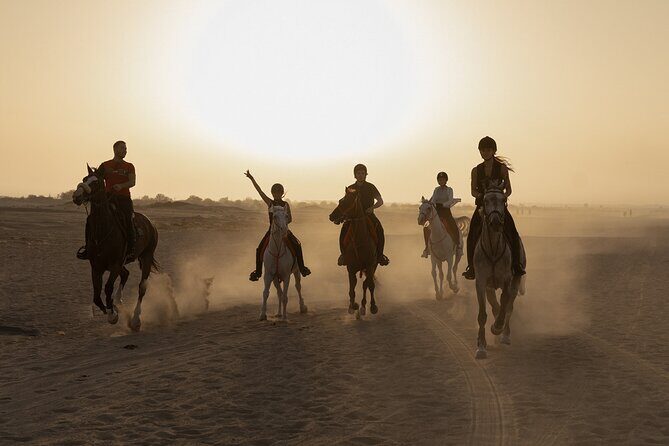 Dubai Desert Horseback Safari with Photoshoot - Key Highlights You’ll Care About