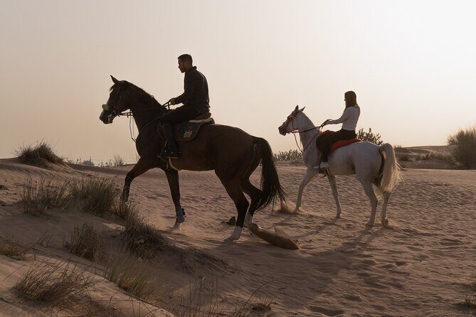 Dubai Desert Horseback Safari with Photoshoot - Meeting Your Guide: Stable Tour, Carrot Feeding, and Calm Setup