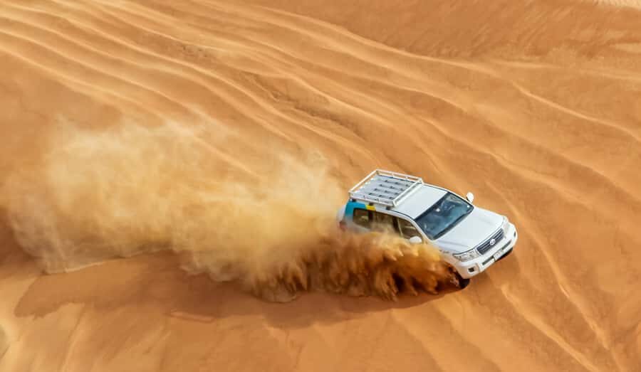 Dubai Desert Morning Drive with Wildlife Experience - Wildlife Stops and the Arabian Oryx Feeding Station Reality Check
