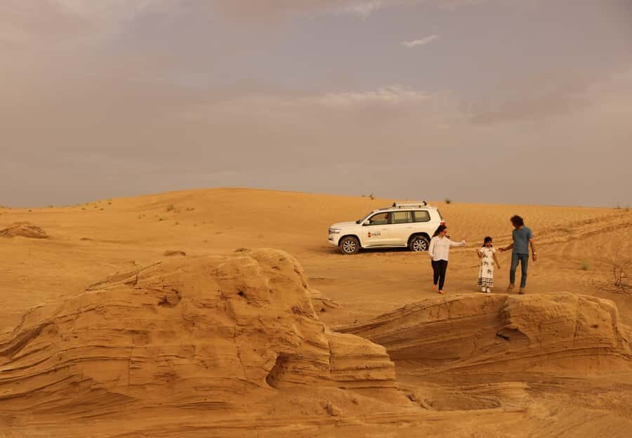 Dubai Desert Morning Drive with Wildlife Experience - Refreshments, Snack Box, and the Pace You Can Actually Enjoy
