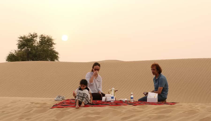 Dubai Desert Morning Drive with Wildlife Experience - Who This Dubai Morning Desert Wildlife Tour Fits Best