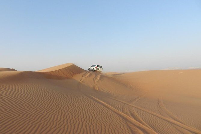 Dubai Desert Safari, ATV open desert, Camel ride, Shows & BBQ - BBQ buffet dinner under the stars: good fuel, Arabic flavors