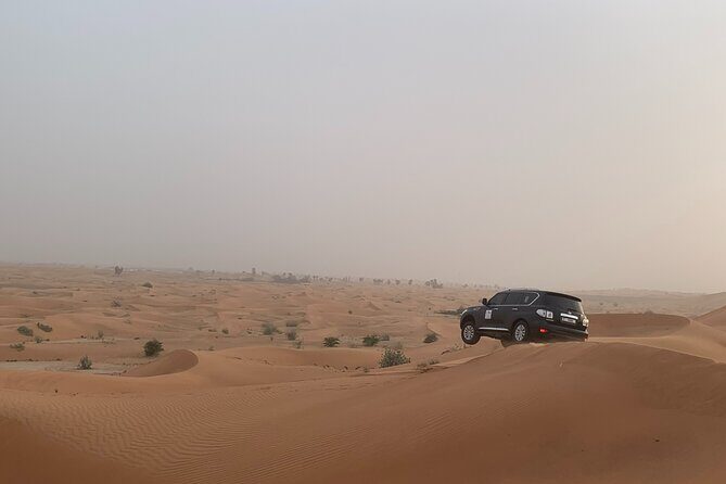 Dubai Desert Safari-BBQ Dinner, Belly Dance, Fire show - Desert safari in Dubai: what you’re actually buying for $89