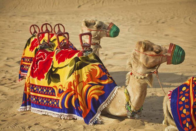 Dubai Desert Safari-BBQ Dinner, Belly Dance, Fire show - Who this safari is best for (and who should be cautious)
