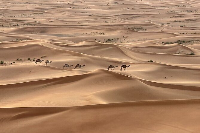 Dubai Desert Safari, Camel, Live BBQ & Shows (Private 4x4 Car) - Quick Hits
