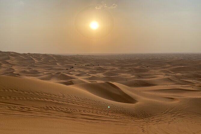 Dubai Desert Safari, Camel, Live BBQ & Shows (Private 4x4 Car) - Price and Value: What $277.71 Really Buys You (Private Means Something)