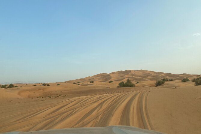 Dubai Desert Safari, Camel, Live BBQ & Shows (Private 4x4 Car) - Timing, Weather, and What to Plan For