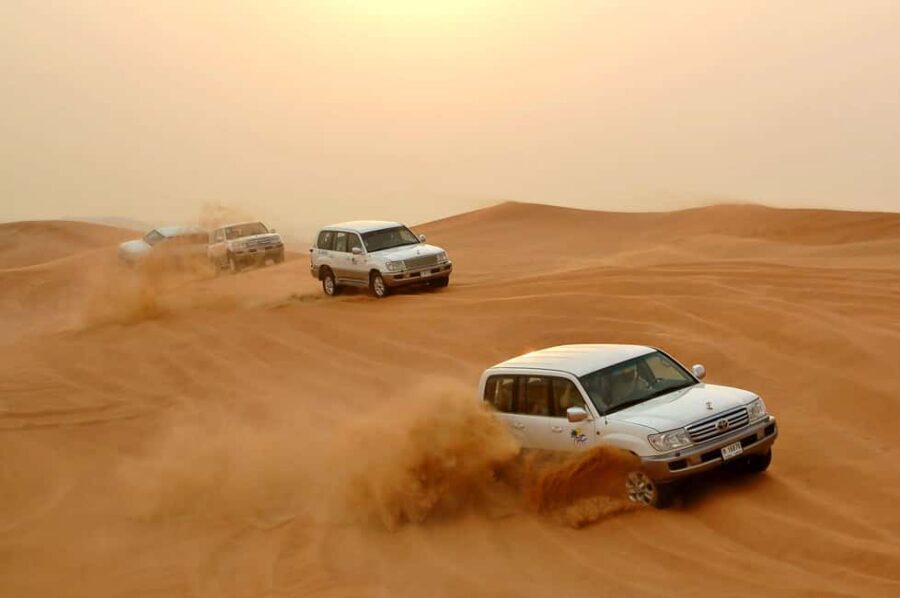 Dubai: Desert Safari, Camel, Quad Ride & Mesmerizing Shows - Sandboarding and desert photos: how to make the most of the stops