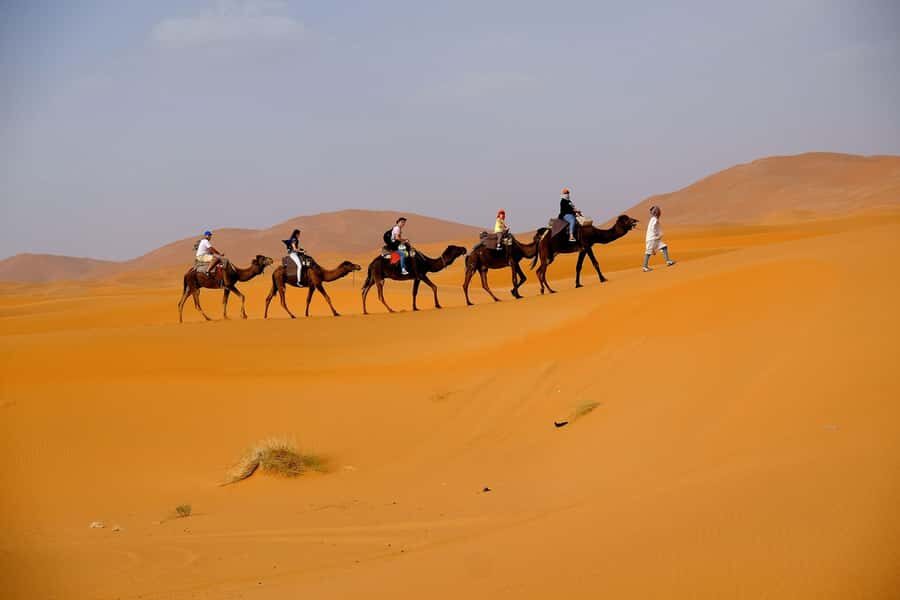 Dubai: Desert Safari, Camel Ride, and BBQ Dinner - Why This Dubai Desert Safari Feels Like Nightlife, Not a Lesson