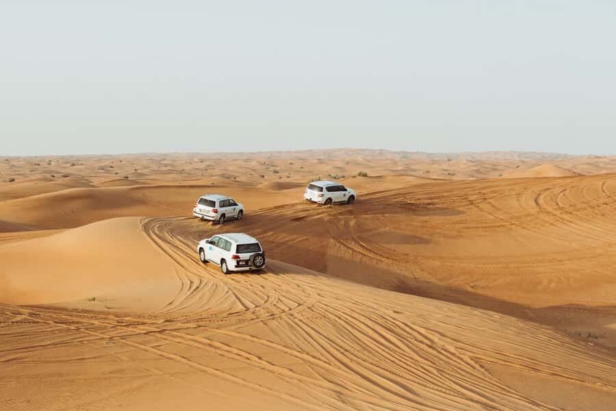 Dubai: Desert Safari, Camel Ride, and BBQ Dinner - Dune Bashing: The Thrill, the Rules, and How to Stay Comfortable