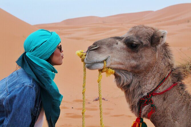 Dubai Desert Safari Camel Ride Sand Boarding BBQ Dinner - Camel Ride for 200 Meters (Repeatable) in Daylight