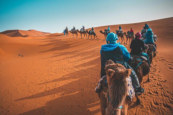 Dubai Desert Safari Camel Ride Sand Boarding BBQ Dinner - Pickup, Timing, and the Group Size Reality