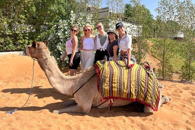 Dubai Desert Safari: Dune Bashing, Camel Ride & BBQ Dinner - The dinner: BBQ buffet with the right kind of comforts