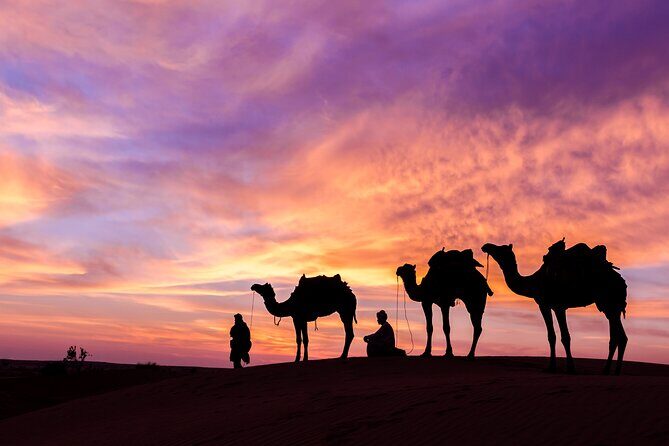 Dubai Desert Safari Dune Bashing, Camel Ride, Sand Boarding, BBQ Dinner. - Sandboarding on the red dunes: short session, big fun