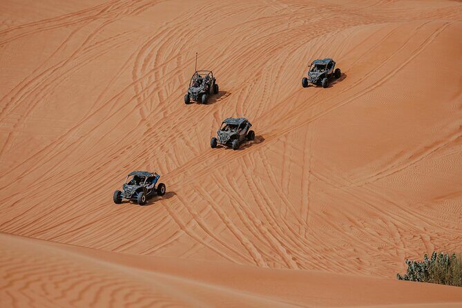 Dubai Desert Safari Dune Bashing, Camel Ride, Sandboarding & BBQ - The Bedouin Camp at Sunset: BBQ, Shows, and Qahwa