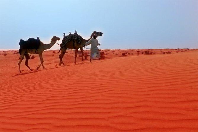Dubai Desert Safari Exclusive jeep, activities, shows (01-05 persons) per jeep - Key Things I’d Pay Attention To