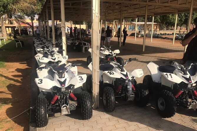 Dubai Desert Safari Morning with Quad Biking and Camel Ride - Group size, age limits, and who this fits best