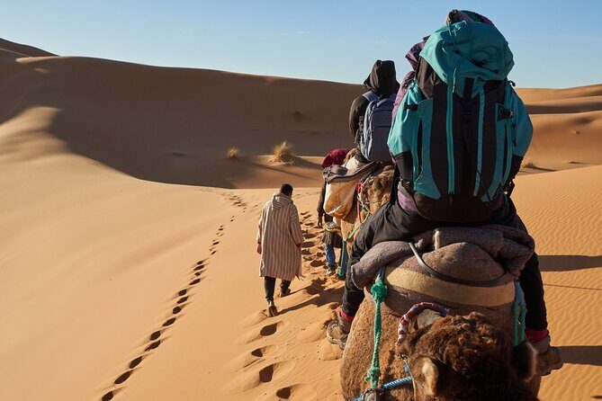 Dubai Desert Safari: Premium Adventure ,Camel Riding & Live Shows - Key Highlights You Should Care About