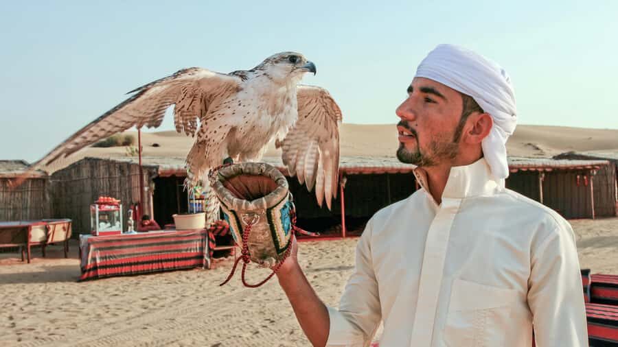 Dubai Desert Safari - Premium BBQ Dinner, Camel Ride & Shows - Price and Value at Around $69: Who This Premium Safari Fits