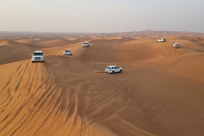 Dubai: Desert Safari, Quad Bike, Camel Ride, and Buffet Dinner - Dinner and shows at Al Royal Desert Camp: BBQ you can actually enjoy