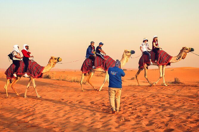 Dubai: Desert Safari, Quad Bike, Camel Ride with VIP Majlis - Price and Value: What $146.55 Buys You