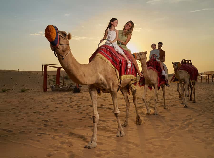 Dubai: Desert Safari, Quad Bike & Premium Camp Experience - From pickup to dunes: the pace you should plan for