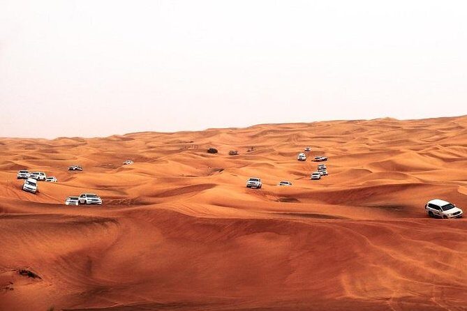 Dubai Desert Safari Red Dune: BBQ, Camel Ride & Sandboarding - Key things to know before you go