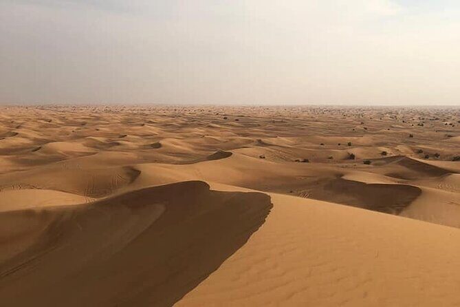 Dubai Desert Safari Sharing with Quad, Shows, Camel and Dinner - Why the Red Dune Combo Feels Like a Real Dubai First-Time Moment