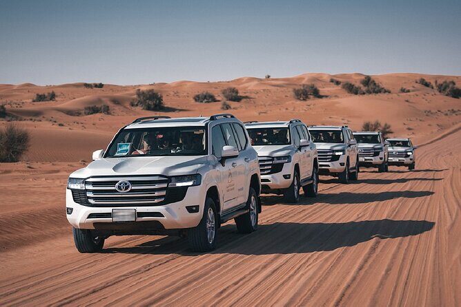 Dubai Desert Safari Thrill: Camel Ride, Live shows, BBQ & Spirits - Dubai Desert Conservation Reserve: leaving the city for real space