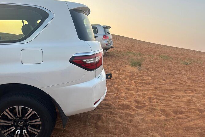Dubai Desert Safari Thrilling Adventure Unforgettable Experiences - Dinner and Live BBQ: Veg and Non-Veg Starter Options
