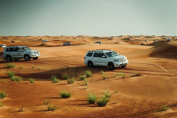 Dubai Desert Safari Tour by 4WD with Options - Washrooms, Seating, and Real Comfort in a Desert Setting